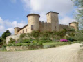 Details for Castello di Gabbiano Hotel